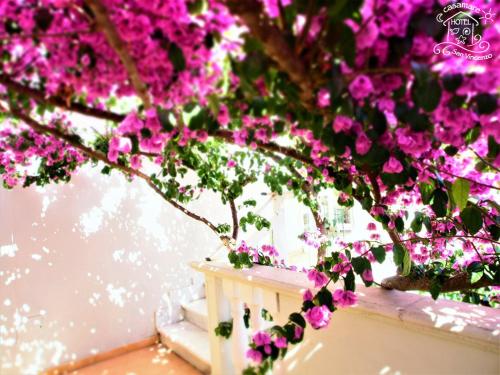 San Vincenzo Italy hotel promo code agoda.com
