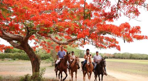 La Romana République Dominicaine code promo hôtel booking.com
