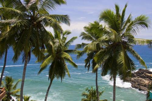 Kovalam India hotel promo code booking.com