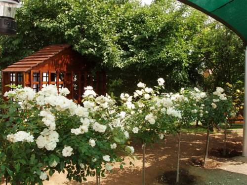 Gariepdam Südafrika Hotel Gutscheincode booking.com