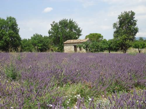 Saignon France code promo hôtel booking.com